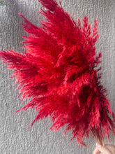 Load image into Gallery viewer, Red Fluffy Pampas