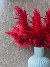 Load image into Gallery viewer, Red Fluffy Pampas