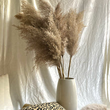 Load image into Gallery viewer, Brown Wide Cortaderia Pampas