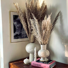 Load image into Gallery viewer, Brown Tall Pampas (10 stems Bunch)