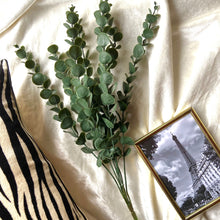 Load image into Gallery viewer, Artificial Eucalyptus Stems