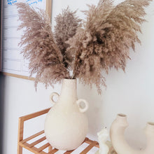 Load image into Gallery viewer, fluffy pampas amphora vase set