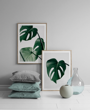 Load image into Gallery viewer, MONSTERA POSTER