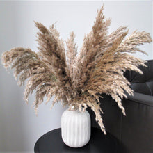 Load image into Gallery viewer, Fluffy Brown Pampas