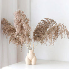 Load image into Gallery viewer, body vase with fluffy Pampas set