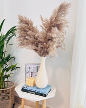 Load image into Gallery viewer, Leo vase with dried pampas set