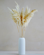 Load image into Gallery viewer, Small Ivory Pampas