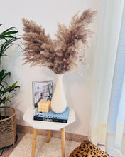 Load image into Gallery viewer, Leo vase with dried pampas set