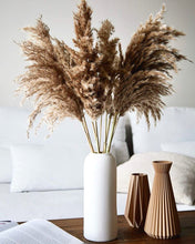 Load image into Gallery viewer, Fluffy Brown Pampas