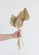 Load image into Gallery viewer, Mini Dried Palm leaves