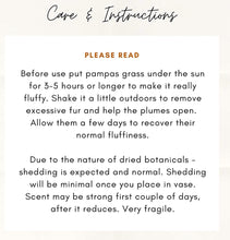 Load image into Gallery viewer, Brown Tall Pampas (10 stems Bunch)