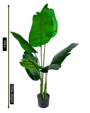 Load image into Gallery viewer, Bird of paradise Tree