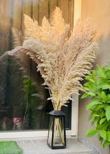 Load image into Gallery viewer, Beige Pampas Grass bunch
