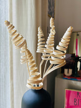 Load image into Gallery viewer, Triangular Spiral Stems
