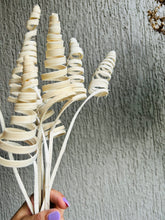 Load image into Gallery viewer, Triangular Spiral Stems
