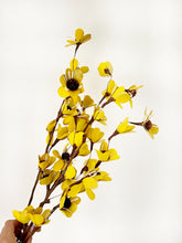 Load image into Gallery viewer, Yellow Bella flower

