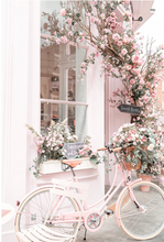 Load image into Gallery viewer, Pink Bicycle Poster
