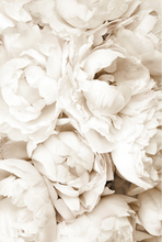 Load image into Gallery viewer, White Peonies Poster
