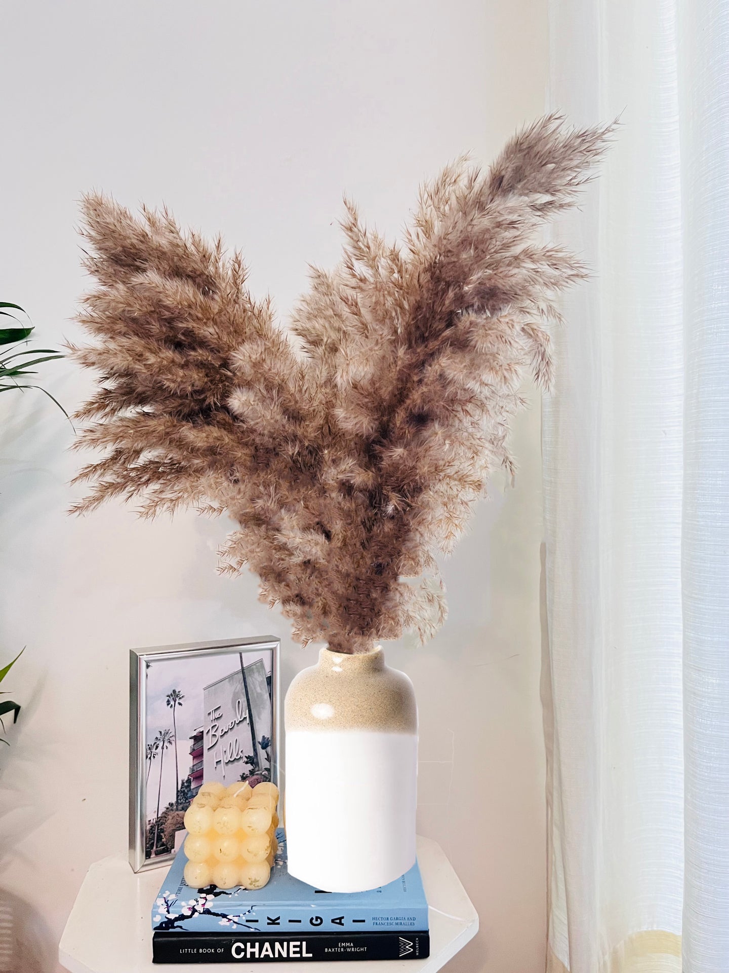 Small vase with fluffy pampas