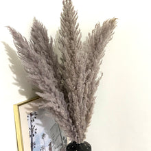 Load image into Gallery viewer, Grey Tall Pampas Grass
