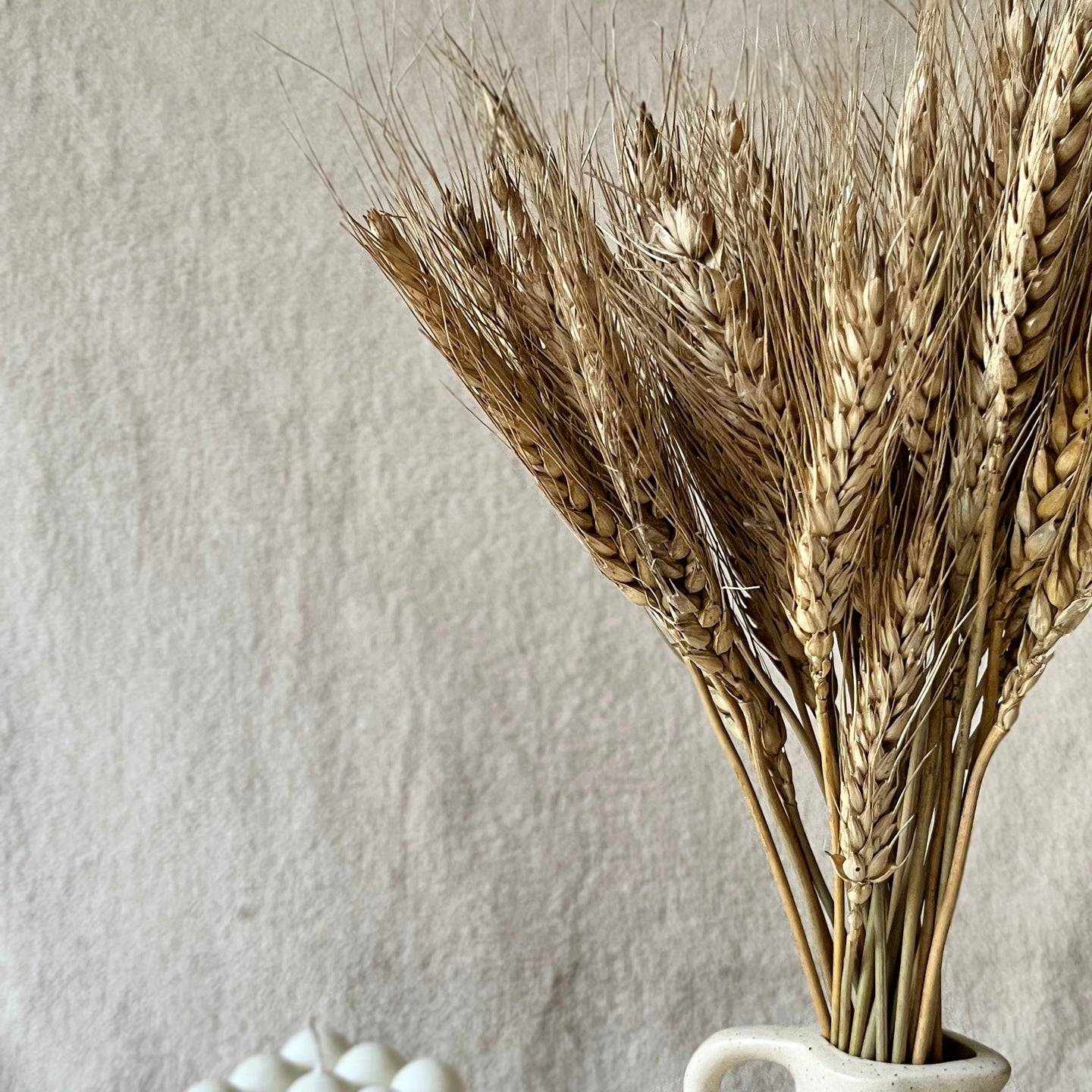 Naturally Dried wheat stems