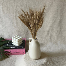 Load image into Gallery viewer, Naturally Dried wheat stems
