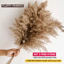 Load image into Gallery viewer, Fluffy Brown Pampas

