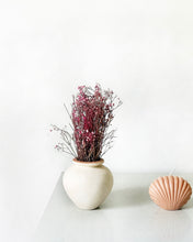 Load image into Gallery viewer, Earth Vase with Dried flower set

