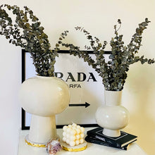 Load image into Gallery viewer, Natural dried Eucalyptus bunch
