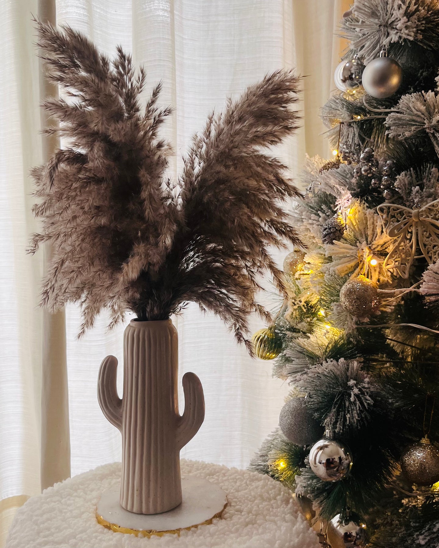 Cactus vase with fluffy pampas set