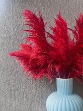 Load image into Gallery viewer, Red Fluffy Pampas
