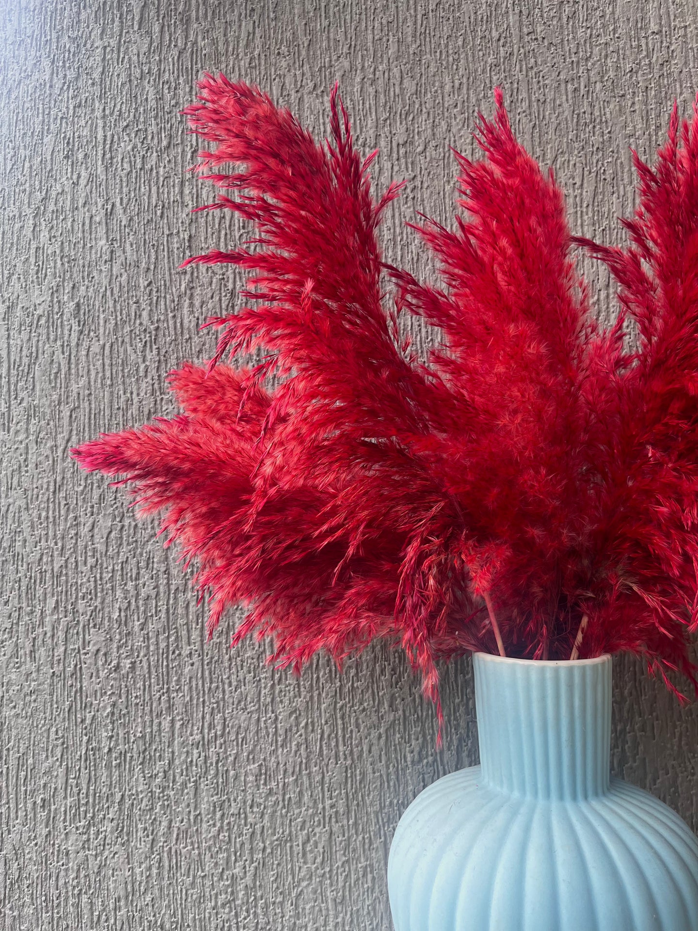 Red Fluffy Pampas