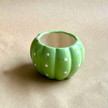 Load image into Gallery viewer, Cactus Pot
