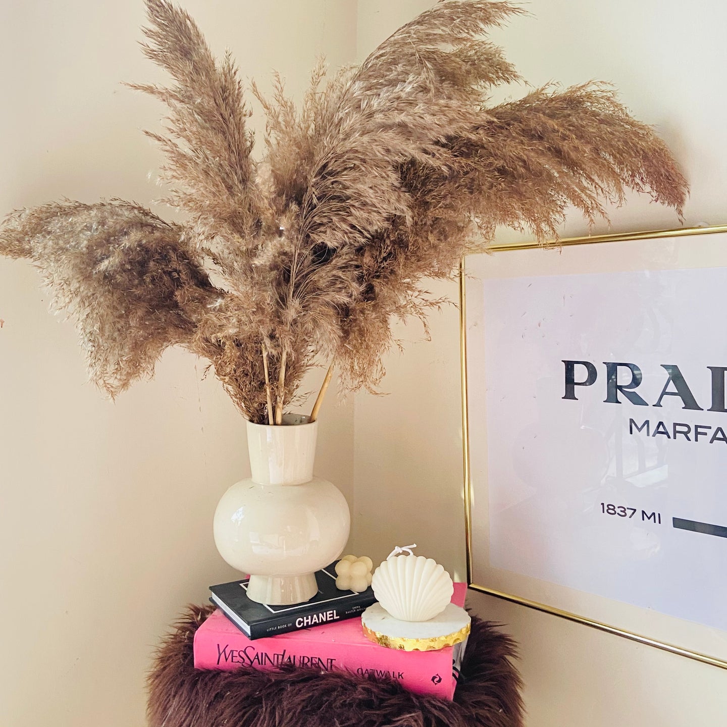 Fluffy Brown Pampas