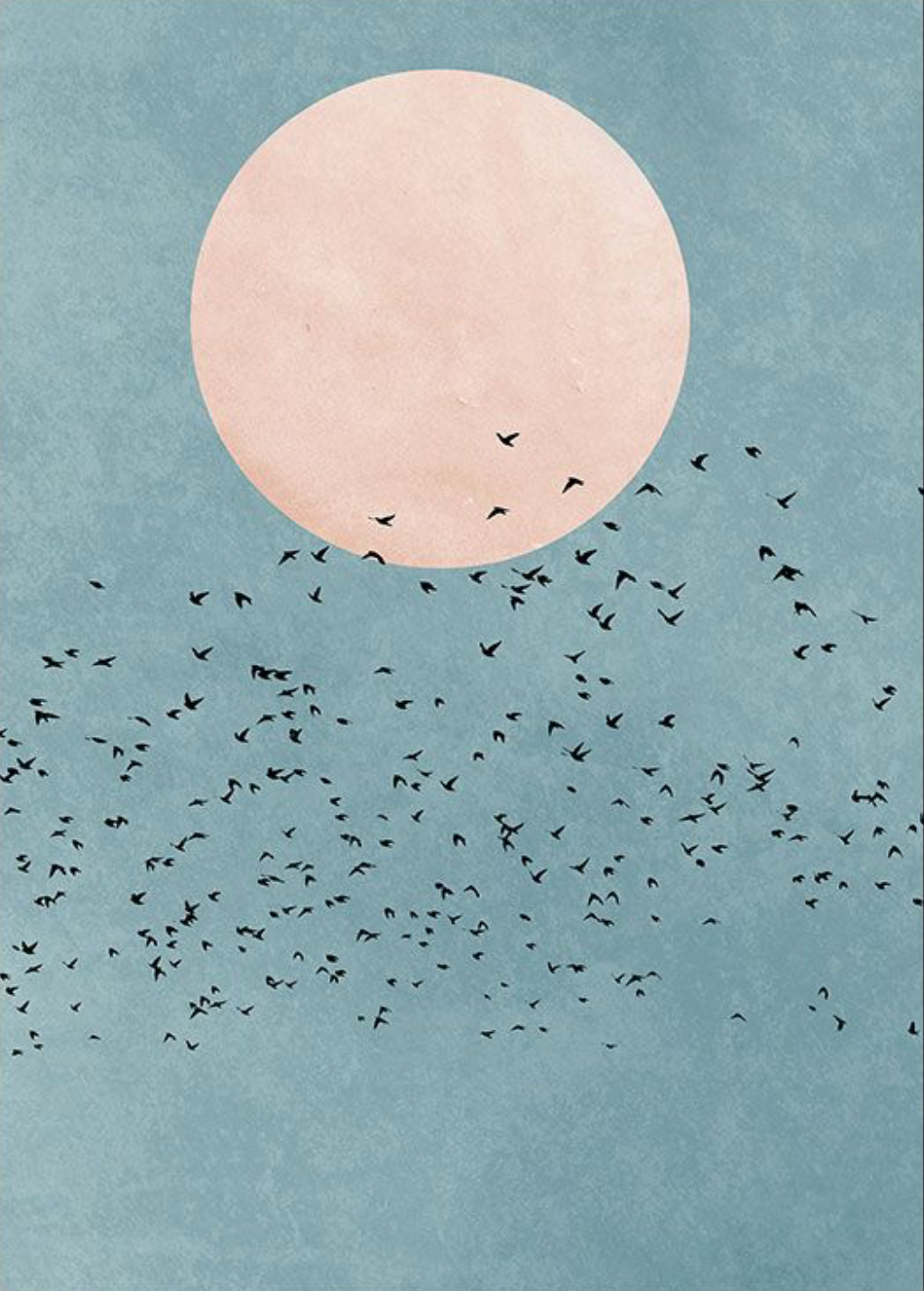 Blue Sky Birds Poster