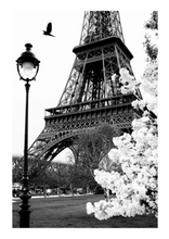Load image into Gallery viewer, Street of Paris Poster
