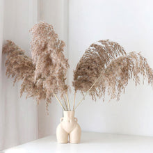 Load image into Gallery viewer, body vase with fluffy Pampas set
