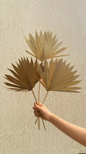 Load image into Gallery viewer, Dried Palm leaves
