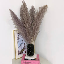 Load image into Gallery viewer, Grey Tall Pampas Grass
