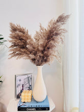 Load image into Gallery viewer, Leo vase with dried pampas set
