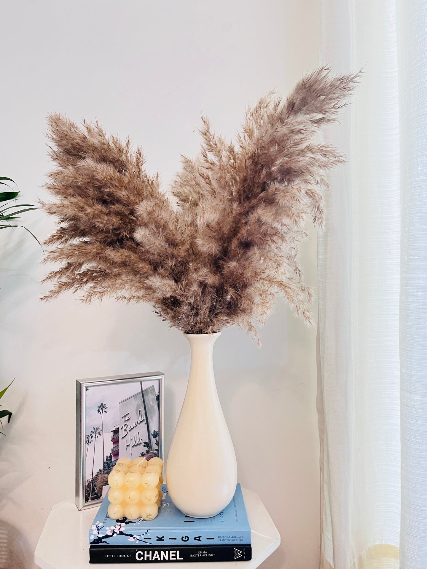 Leo vase with dried pampas set