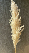 Load image into Gallery viewer, Ivory Tall Pampas Grass
