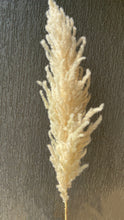 Load image into Gallery viewer, White Tall Pampas Grass
