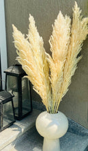 Load image into Gallery viewer, White Tall Pampas Grass
